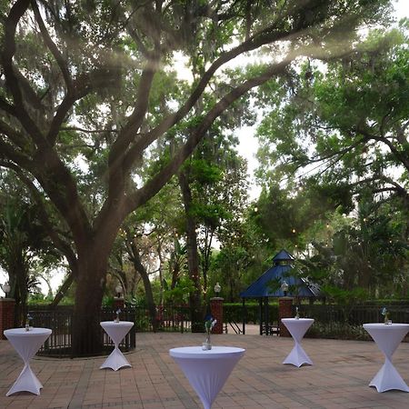 Mango Hilton Garden Inn Tampa East Brandon מראה חיצוני תמונה