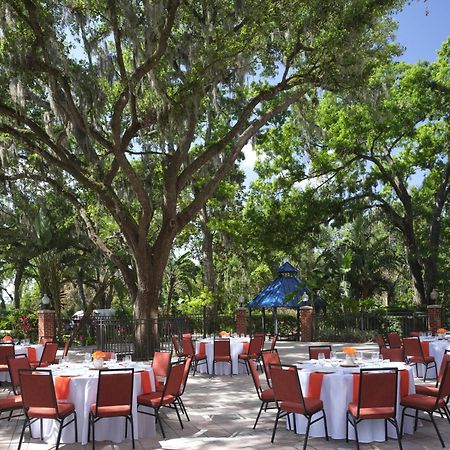 Mango Hilton Garden Inn Tampa East Brandon מראה חיצוני תמונה