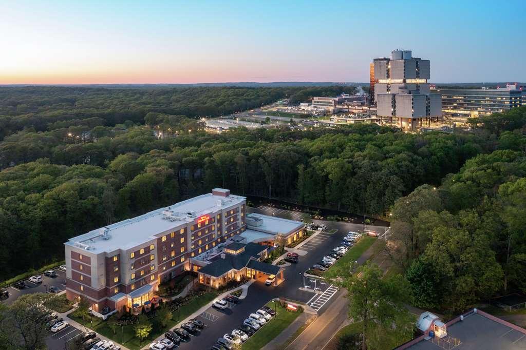 Mango Hilton Garden Inn Tampa East Brandon מראה חיצוני תמונה