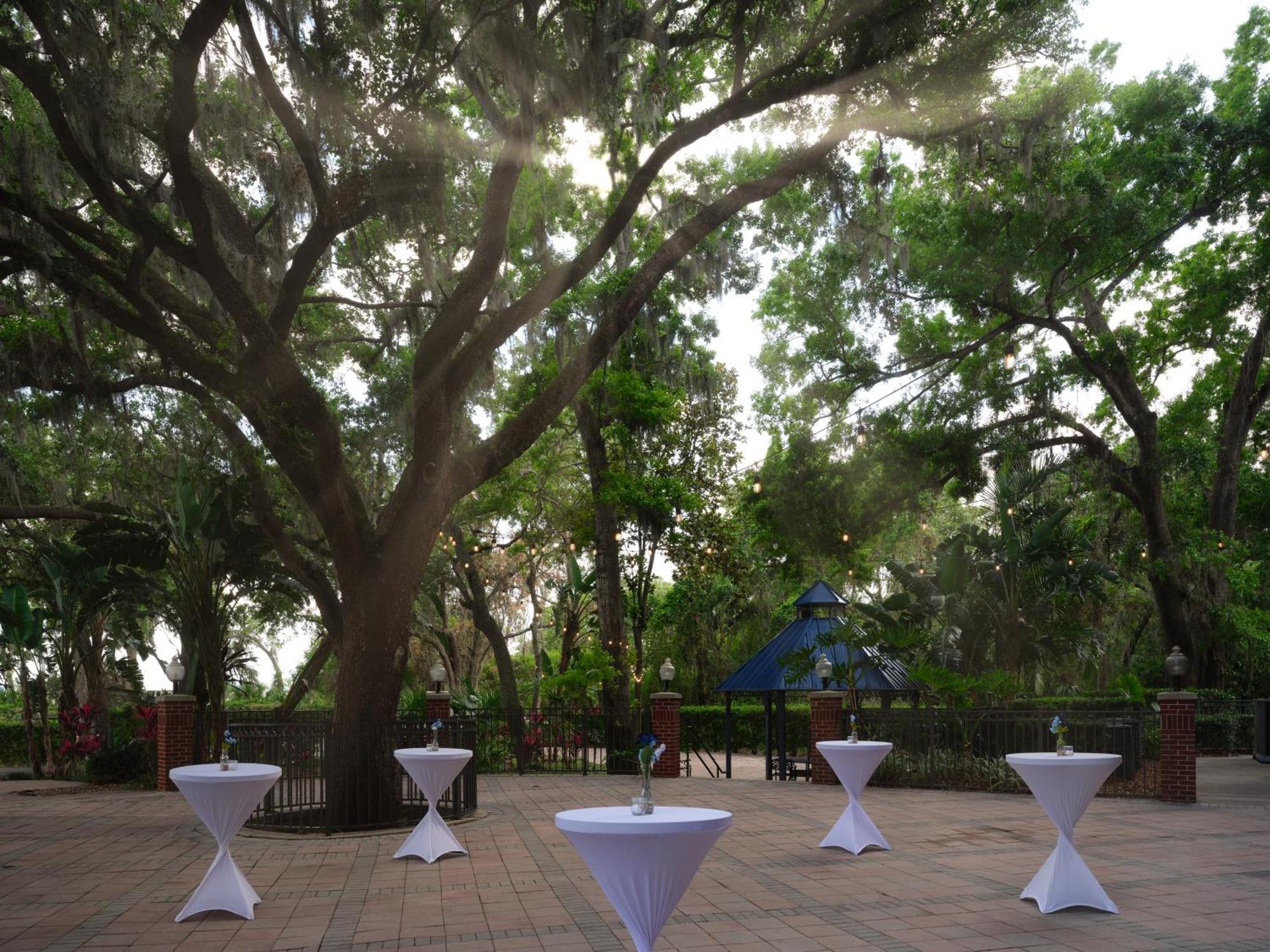 Mango Hilton Garden Inn Tampa East Brandon מראה חיצוני תמונה
